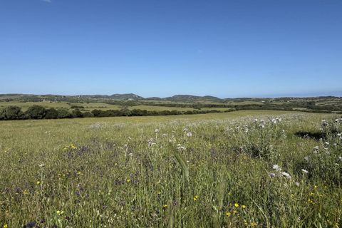 Landejendom i Aglientu, Sassari, Aglientu - € 1.100.000 | Ref: AGL-STAZZU-COR - foto 29