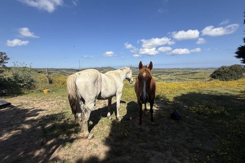 Landejendom i Aglientu, Sassari, Aglientu - € 1.100.000 | Ref: AGL-STAZZU-COR - foto 35