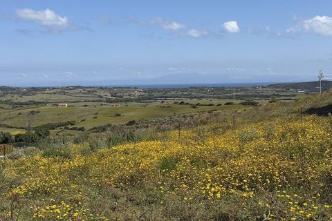 Landejendom i Aglientu, Sassari, Aglientu - € 1.100.000 | Ref: AGL-STAZZU-COR - foto 36