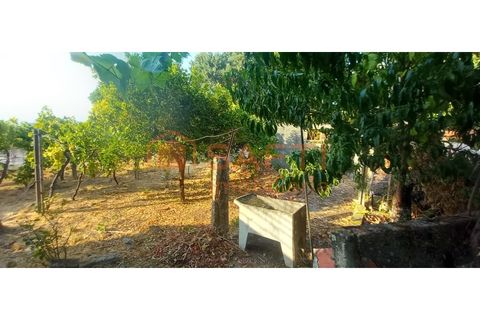 Landejendom i Bela, Viana do Castelo, Bela - € 109.000 | Ref: SAFTI:007110 - foto 3