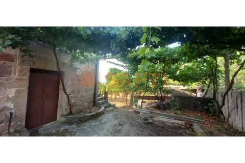 Landejendom i Bela, Viana do Castelo, Bela - € 109.000 | Ref: SAFTI:007110 - foto 22