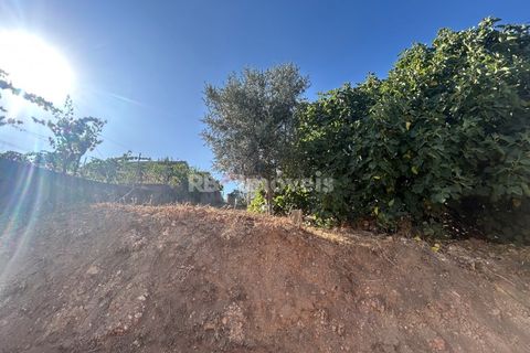 Helårsgrund i Abrantes, Santarem, Abrantes - € 35.000 | Ref: 01632-25 - foto 8