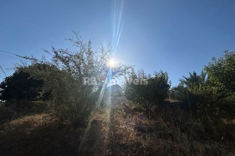 Helårsgrund i Abrantes, Santarem, Abrantes - € 35.000 | Ref: 01632-25 - foto 4
