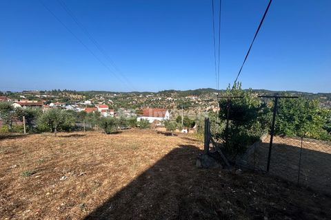 Helårsgrund i Abrantes, Santarem, Abrantes - € 35.000 | Ref: 01632-25 - foto 5