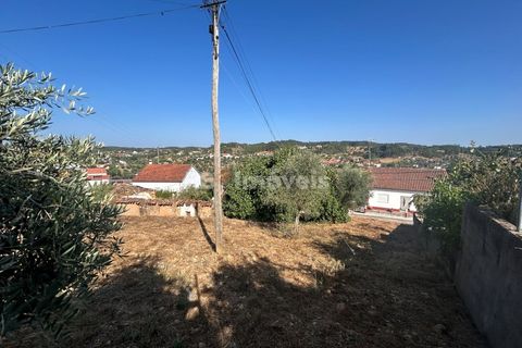 Helårsgrund i Abrantes, Santarem, Abrantes - € 35.000 | Ref: 01632-25 - foto 6