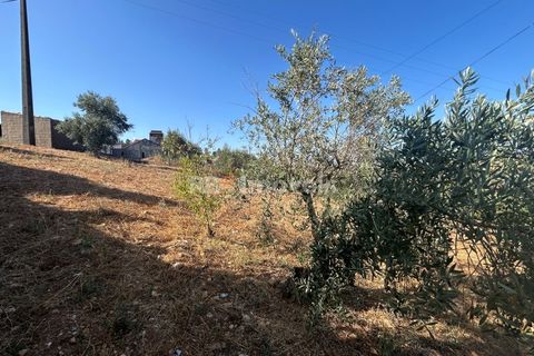 Helårsgrund i Abrantes, Santarem, Abrantes - € 35.000 | Ref: 01632-25 - foto 2