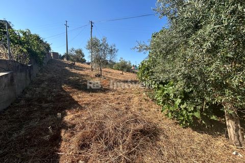 Helårsgrund i Abrantes, Santarem, Abrantes - € 35.000 | Ref: 01632-25 - foto 7