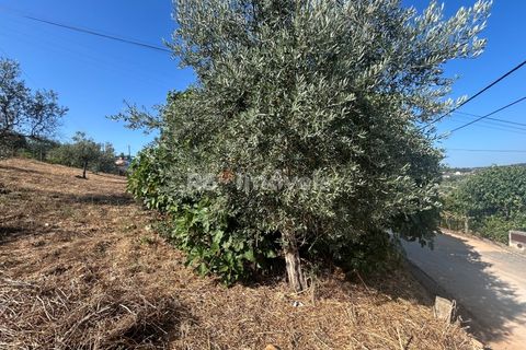 Helårsgrund i Abrantes, Santarem, Abrantes - € 35.000 | Ref: 01632-25 - foto 9