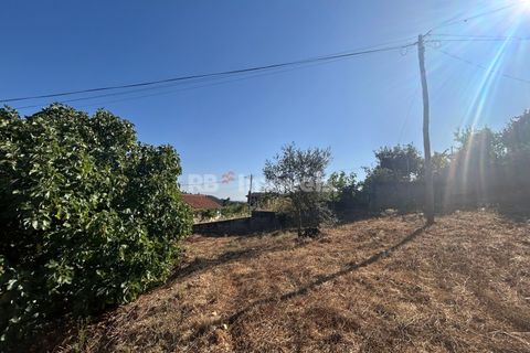 Helårsgrund i Abrantes, Santarem, Abrantes - € 35.000 | Ref: 01632-25 - foto 10