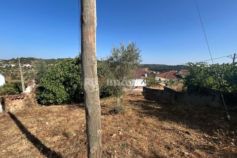Helårsgrund i Abrantes, Santarem, Abrantes - € 35.000 | Ref: 01632-25 - foto 11