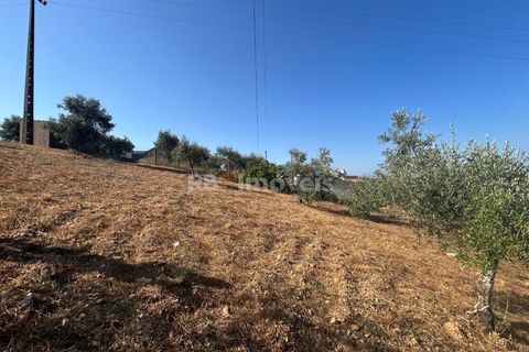 Helårsgrund i Abrantes, Santarem, Abrantes - € 35.000 | Ref: 01632-25 - foto 12