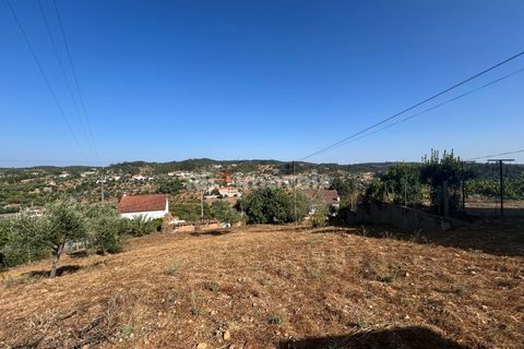 Helårsgrund i Abrantes, Santarem, Abrantes - € 35.000 | Ref: 01632-25 - foto 13