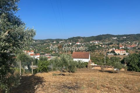 Helårsgrund i Abrantes, Santarem, Abrantes - € 35.000 | Ref: 01632-25 - foto 14