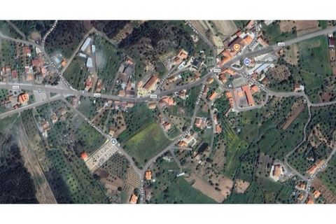 Helårsgrund i Abrantes, Santarem, Abrantes - € 35.000 | Ref: 01632-25 - foto 16