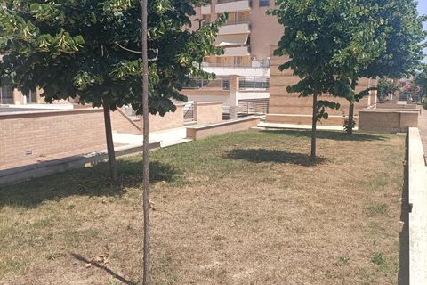 Leilighet i Pedaso, Fermo, Pedaso - € 95 000 | Ref: 6883 - foto 50