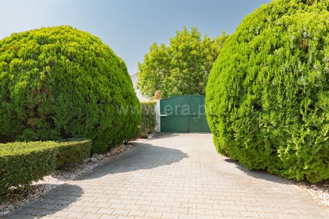 Villa a Tomar, Santarem, Tomar - € 320.000 | Ref: 395250103 - foto 26