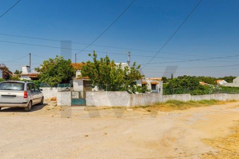 Granja a Setubal, Setubal, Setubal - € 1.200.000 | Ref: KWPT-020080 - foto 36