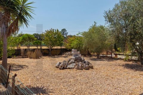 Granja a Setubal, Setubal, Setubal - € 1.200.000 | Ref: KWPT-020080 - foto 33