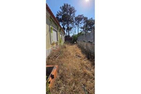 Helårsgrund i Corroios, Setubal, Corroios - € 775.000 | Ref: 4681OM6 - foto 8