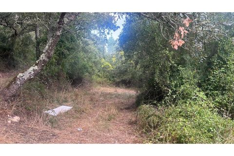 Terra a Bucelas, Lisbon, Bucelas - € 50.000 | Ref: T/4619-IM - foto 4