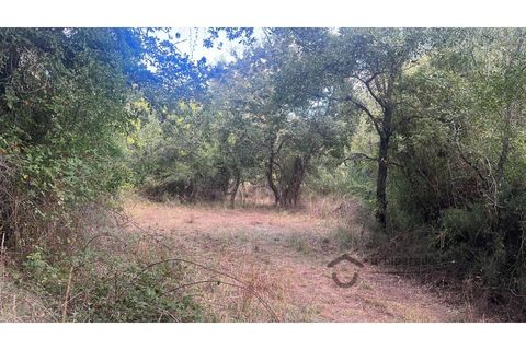 Terra a Bucelas, Lisbon, Bucelas - € 50.000 | Ref: T/4619-IM - foto 2