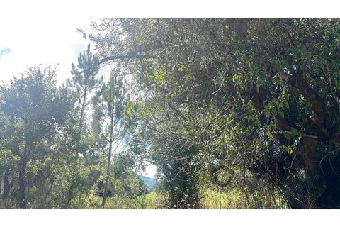 Terra a Bucelas, Lisbon, Bucelas - € 50.000 | Ref: T/4619-IM - foto 9