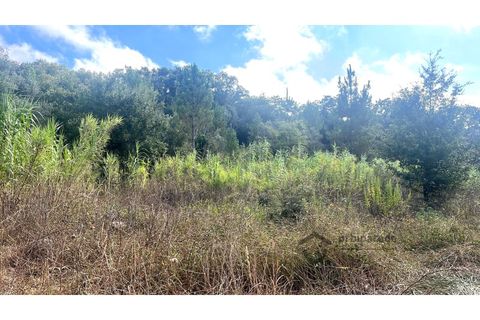 Terra a Bucelas, Lisbon, Bucelas - € 50.000 | Ref: T/4619-IM - foto 10