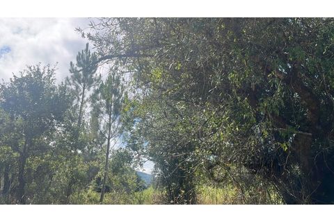 Terra a Bucelas, Lisbon, Bucelas - € 50.000 | Ref: T/4619-IM - foto 14
