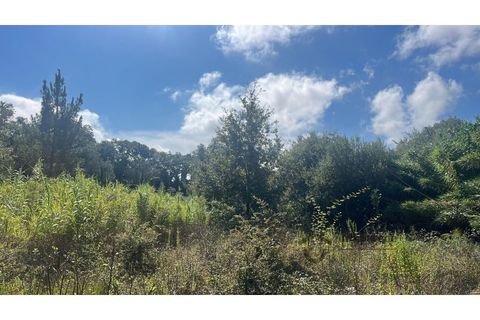 Terra a Bucelas, Lisbon, Bucelas - € 50.000 | Ref: T/4619-IM - foto 16
