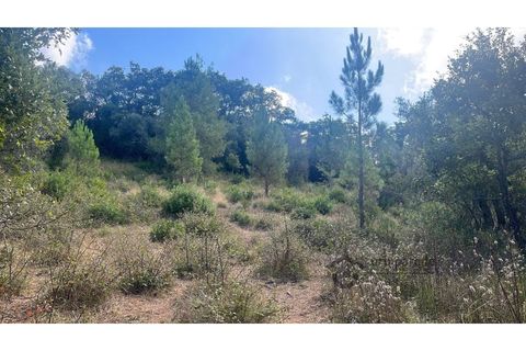 Terra a Bucelas, Lisbon, Bucelas - € 50.000 | Ref: T/4619-IM - foto 17