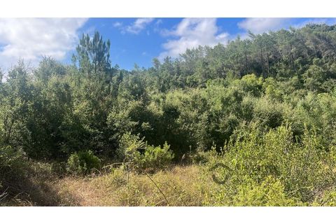 Terra a Bucelas, Lisbon, Bucelas - € 50.000 | Ref: T/4619-IM - foto 18
