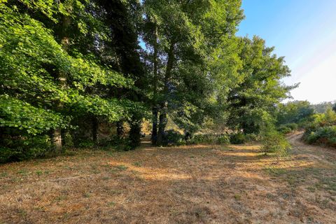 Farm hus i Monchique, Faro, Monchique - € 424.900 | Ref: JE031 MA - foto 17