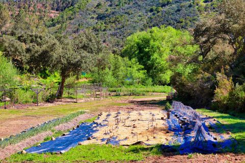 Farm hus i Monchique, Faro, Monchique - € 424.900 | Ref: JE031 MA - foto 43