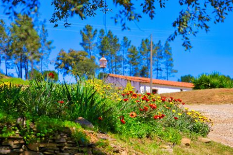 Farm hus i Monchique, Faro, Monchique - € 424.900 | Ref: JE031 MA - foto 2
