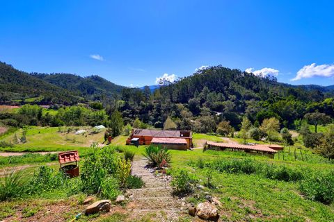 Farm hus i Monchique, Faro, Monchique - € 424.900 | Ref: JE031 MA - foto 3