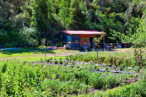 Farm hus i Monchique, Faro, Monchique - € 424.900 | Ref: JE031 MA - foto 50