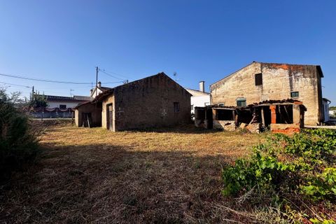 Helårsgrund i Tomar, Santarem, Tomar - € 45.000 | Ref: TL052 - foto 3
