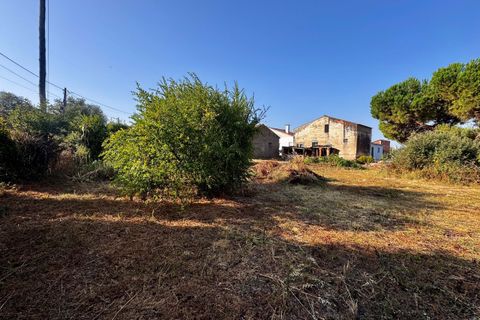 Helårsgrund i Tomar, Santarem, Tomar - € 45.000 | Ref: TL052 - foto 5