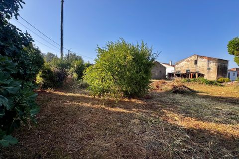 Helårsgrund i Tomar, Santarem, Tomar - € 45.000 | Ref: TL052 - foto 6