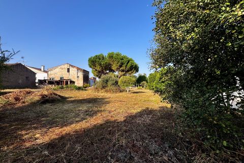 Helårsgrund i Tomar, Santarem, Tomar - € 45.000 | Ref: TL052 - foto 7