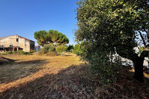 Helårsgrund i Tomar, Santarem, Tomar - € 45.000 | Ref: TL052 - foto 8