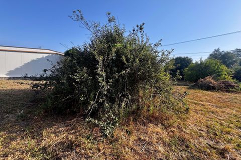 Helårsgrund i Tomar, Santarem, Tomar - € 45.000 | Ref: TL052 - foto 9