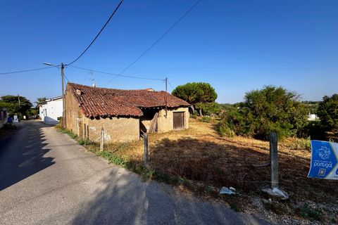 Helårsgrund i Tomar, Santarem, Tomar - € 45.000 | Ref: TL052 - foto 15