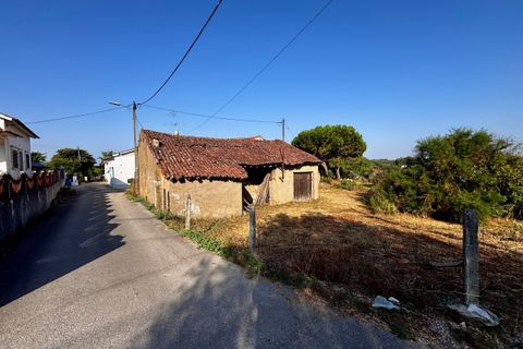 Helårsgrund i Tomar, Santarem, Tomar - € 45.000 | Ref: TL052 - foto 16