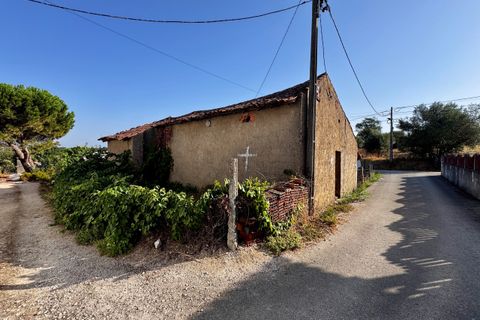 Helårsgrund i Tomar, Santarem, Tomar - € 45.000 | Ref: TL052 - foto 17