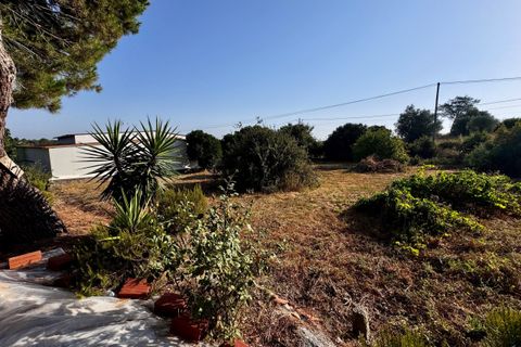 Helårsgrund i Tomar, Santarem, Tomar - € 45.000 | Ref: TL052 - foto 19