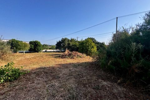 Helårsgrund i Tomar, Santarem, Tomar - € 45.000 | Ref: TL052 - foto 20