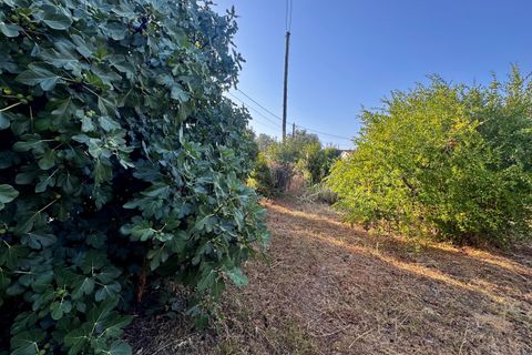 Helårsgrund i Tomar, Santarem, Tomar - € 45.000 | Ref: TL052 - foto 21