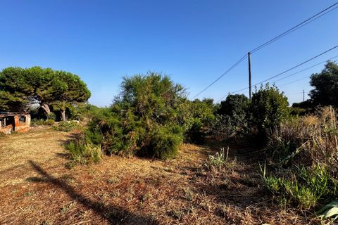 Helårsgrund i Tomar, Santarem, Tomar - € 45.000 | Ref: TL052 - foto 22