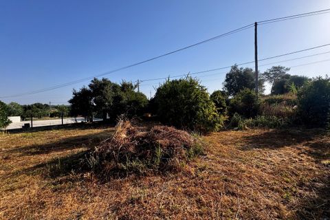 Helårsgrund i Tomar, Santarem, Tomar - € 45.000 | Ref: TL052 - foto 23